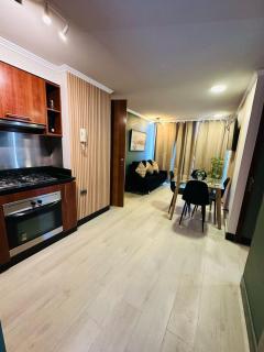 Estilo y comodidad en Providencia Suites 2 dorm 2 baños - 8