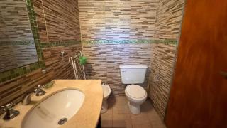 Encantos del Bosque - 2