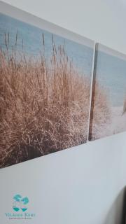 Világos Kert Garden Suites -Balatonvilágos - 6