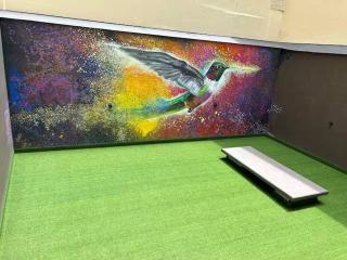 Suit en Candelaria, Centro Histórico, Museo de Oro - 8