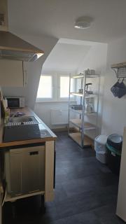 Schöne Vollausgestattete Monteurs- Gästewohnung nähe Raffinerie Leuna und Geiseltalsee für 2 Personen 0308 - 8