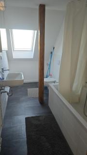 Schöne Vollausgestattete Monteurs- Gästewohnung nähe Raffinerie Leuna und Geiseltalsee für 2 Personen 0308 - 4