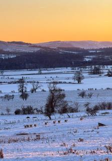 Turnpike House - Glanton - 9