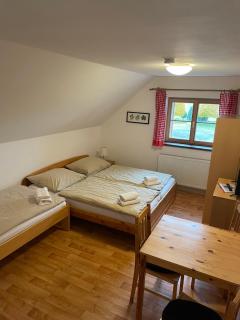 Penzion Sokolovna Krásná - 5