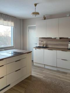 Big Apartment, 4 Bedrooms, Sauna, free parking - EV Charging - 8