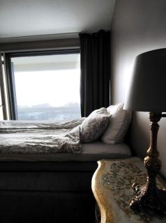 Big Apartment, 4 Bedrooms, Sauna, free parking - EV Charging - 0