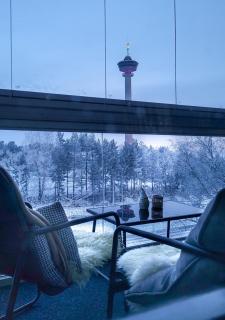 Big Apartment, 4 Bedrooms, Sauna, free parking - EV Charging - 8