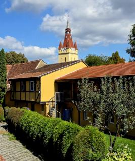 Transylvanian Nest - 0