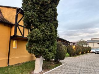 Transylvanian Nest - 5