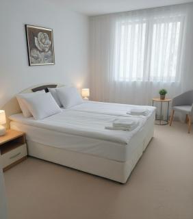 Raya Apart Pamporovo - 5