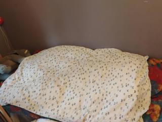 Cosy little room near forest and town - 6