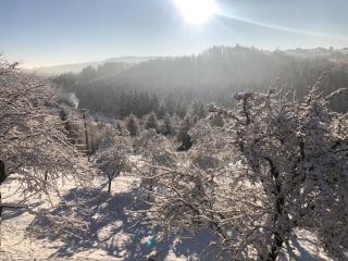 Dom w Sadzie Frydrychówka - 9