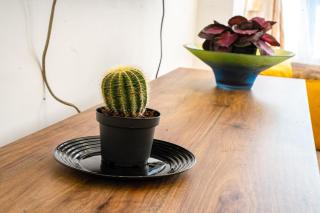 Luxury Apartment in Westlands Nairobi - 7