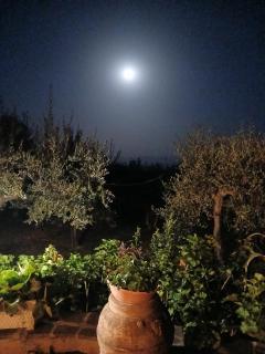 Poggio La Grognola - 8