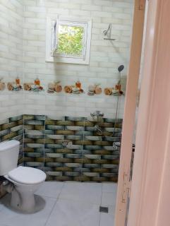 بيت علي النيل مباشره في الاقصر - 5