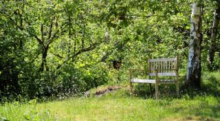 Benar Cottages - Benar Bach - 7