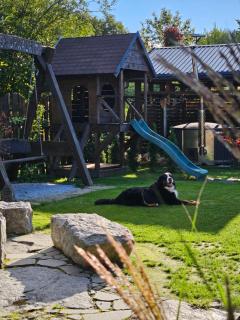 Domek Drwala k. Karpacza - 6