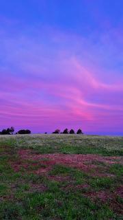 Cabana Camponês Onde a natureza é lar - 7