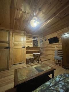 Gite indépendant, calme, campagne, style intérieur chalet - 5
