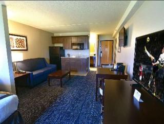 Best Western Plus Flint Airport Inn & Suites - 1