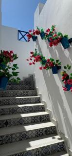 Irilos Chalet إستراحة أيريلوس - 5