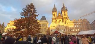 Rooftop Deluxe apartment - 7