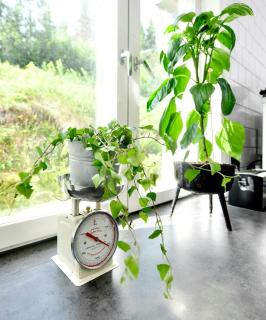 Historic Summer House By The Water On Ulvön - 2