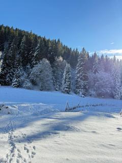 Ca' Santina Rooms & Shared Kitchen - 8