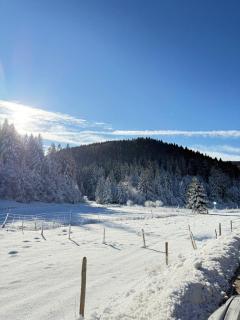 Ca' Santina Rooms & Shared Kitchen - 9