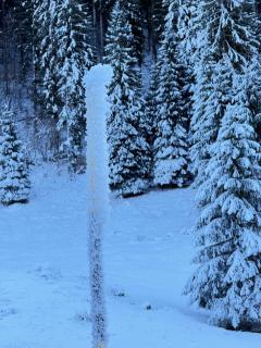 Ca' Santina Rooms & Shared Kitchen - 7