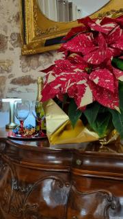 Assisi - Appartamento Maristella - 1