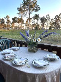 Nobel Cabins - Furillen - 4