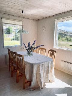 Nobel Cabins - Furillen - 7