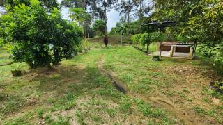 Goodwill Orchard Homestay - 4