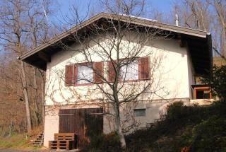 Gemütliche Weingartenhütte - 9