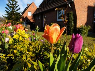 Ferienhaus im Kanalblick - 0