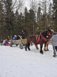 Natur House Beskidy - dom z drzewa księżycowego z SAUNĄ i BALIĄ Jacuzzi!! - 8