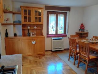 Cuore Carnico appartamento con terrazza panoramica - 6