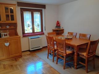 Cuore Carnico appartamento con terrazza panoramica - 5