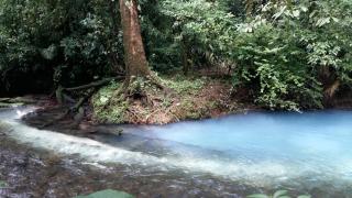 Celeste Mountain Lodge - Bijagua - 4