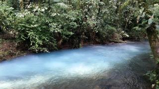 Celeste Mountain Lodge - Bijagua - 5