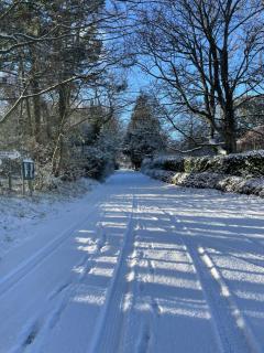 Ingram House Bed & Breakfast - 9