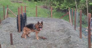 Seoski Turizam Feniks - apartman Ostrog - Kosjerić - 3