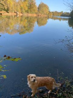 Le Manoir des Rochers - 7