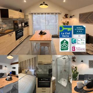 Maison cosy à Chouzy sur Cisse avec jardin - 9