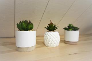 Le Chalet - Résidence Chez Gally à Angers - 4