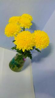 Nigam House - Dormitory in Floor Near Kareli Bank of Baroda - 7