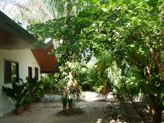 Naranjo Ferry & Roadside B&B - 7