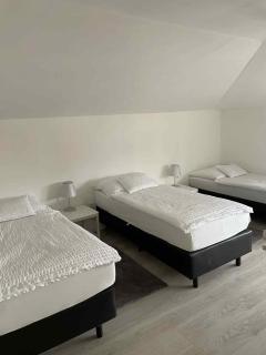 Jázmin apartman - 4