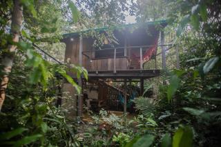 Bangalô na Floresta Encantada - 4